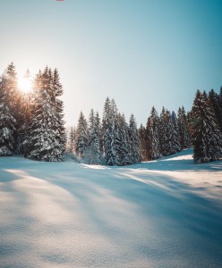 Welcome to December 2025
